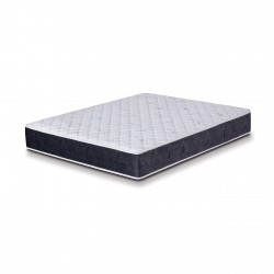 СИЛВЪР ХИБРИД